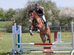 2016 Sydhavscup spring 1. del - 8. maj